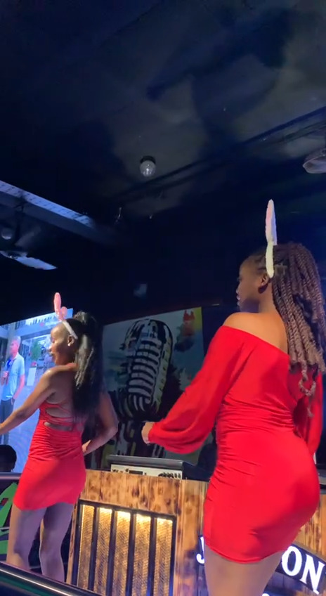 bunny-ears-beats-dancefloor-in-motion